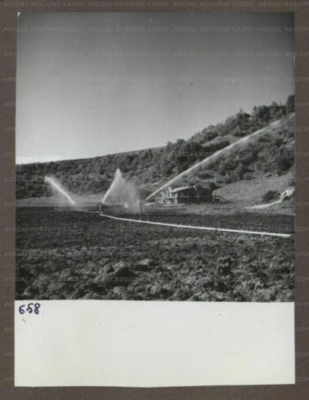 ARSIAL/ARS00174A74.jpg