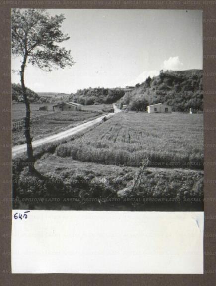 ARSIAL/ARS00174A79.jpg
