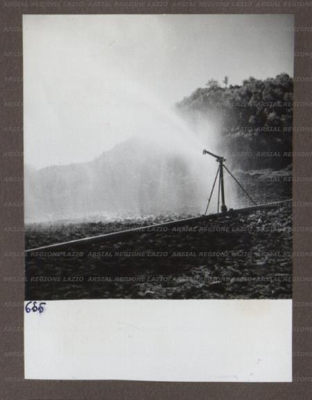 ARSIAL/ARS00174A7D.jpg