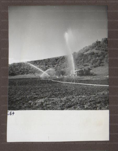 ARSIAL/ARS00174A7F.jpg