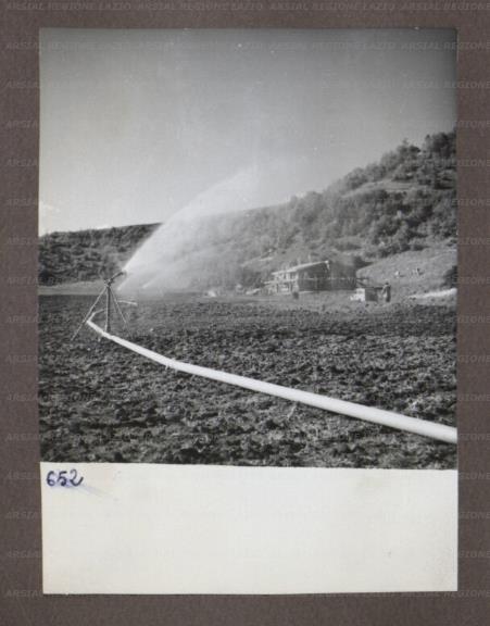 ARSIAL/ARS00174A85.jpg