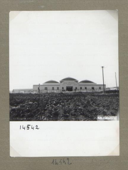 ARSIAL/ARS00174A90.jpg
