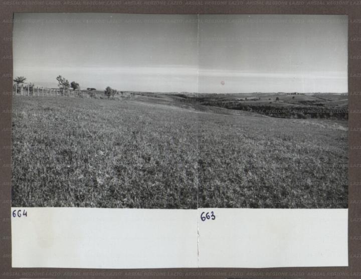 ARSIAL/ARS00174AAB.jpg