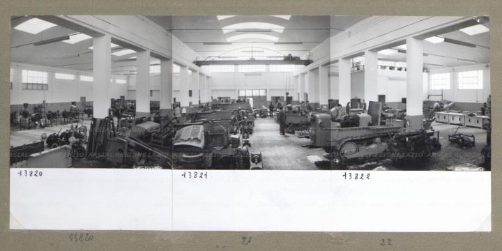 ARSIAL/ARS00174AAE.jpg