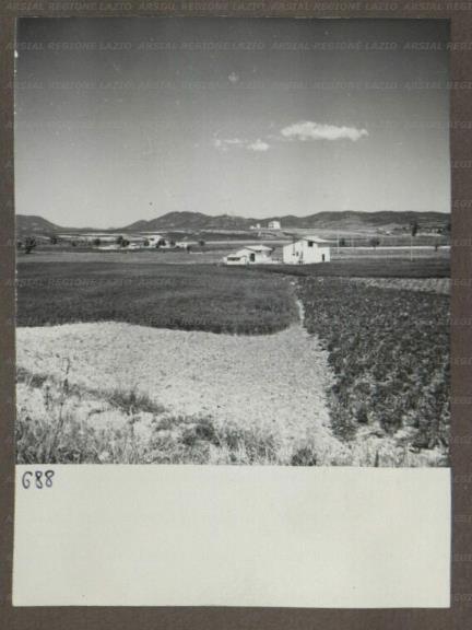 ARSIAL/ARS00174AB2.jpg