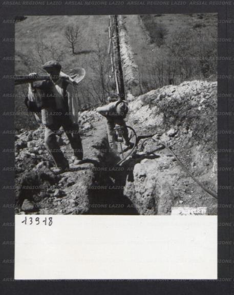 ARSIAL/ARS00174AC7.jpg