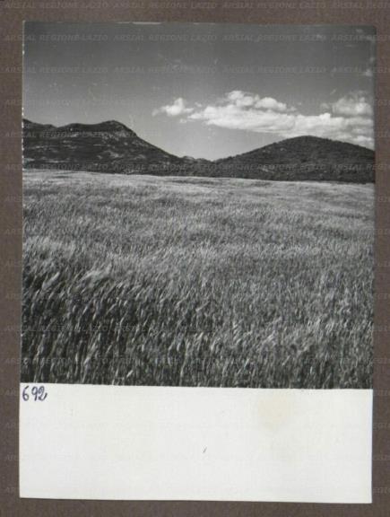 ARSIAL/ARS00174AC8.jpg