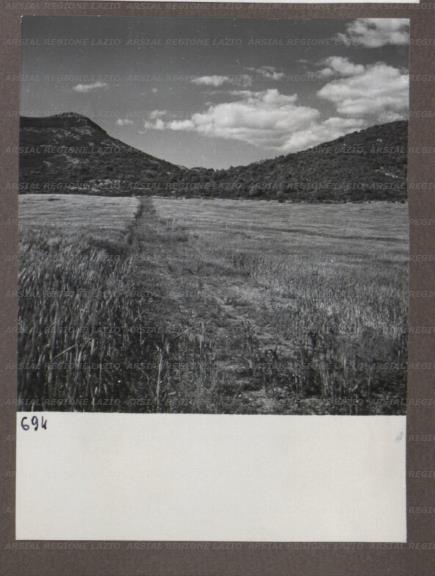ARSIAL/ARS00174ACC.jpg