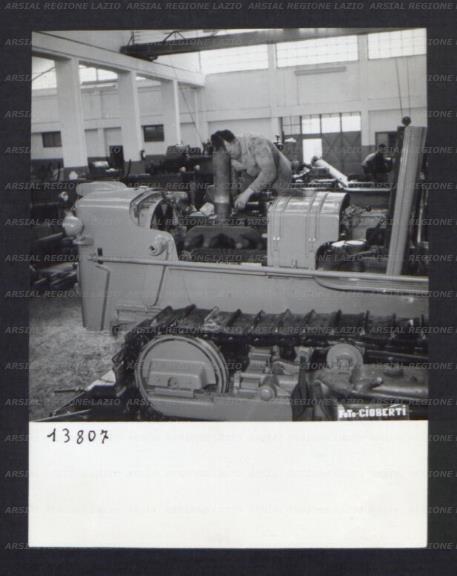 ARSIAL/ARS00174ACE.jpg