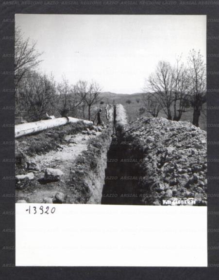 ARSIAL/ARS00174ACF.jpg
