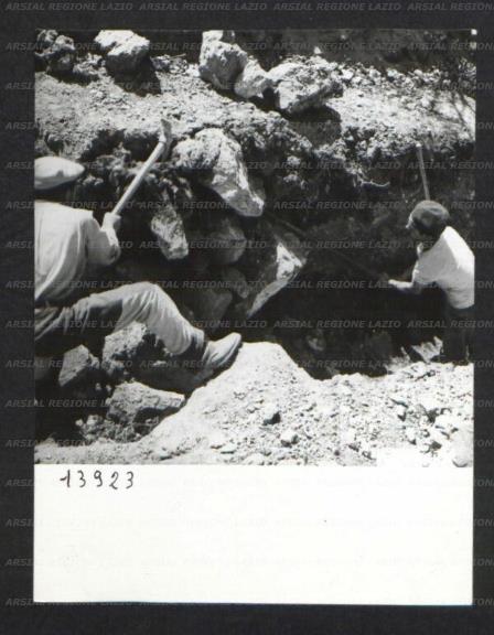 ARSIAL/ARS00174AD7.jpg