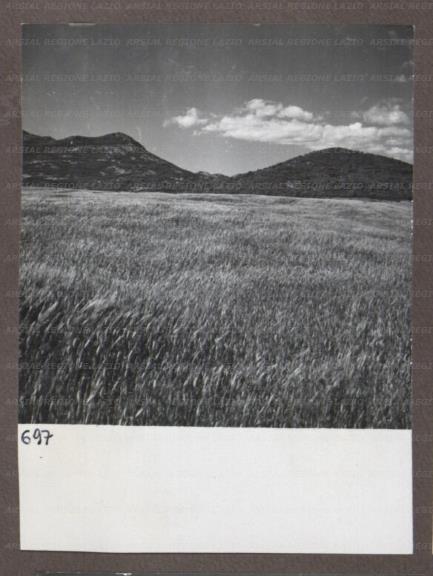 ARSIAL/ARS00174ADD.jpg