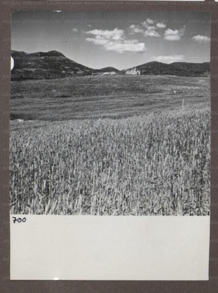 ARSIAL/ARS00174AEB.jpg
