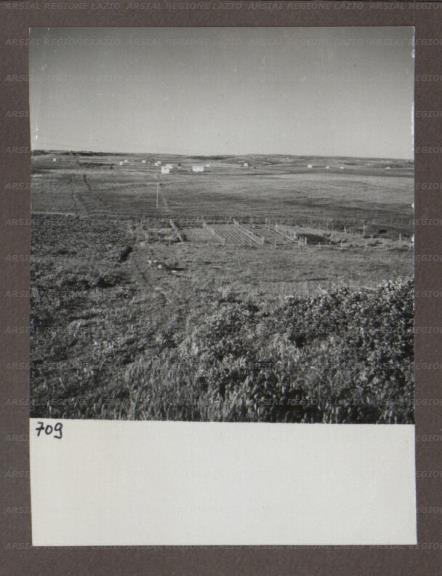 ARSIAL/ARS00174AEF.jpg
