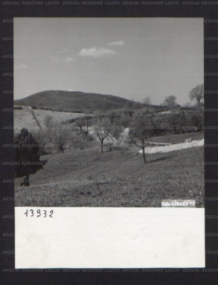 ARSIAL/ARS00174AF0.jpg