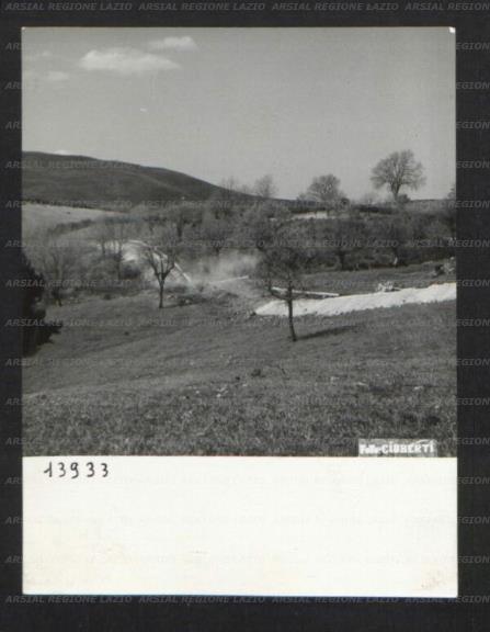 ARSIAL/ARS00174AF5.jpg