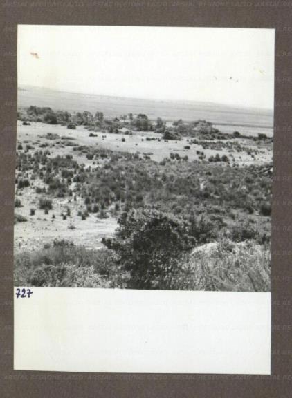 ARSIAL/ARS00174B01.jpg