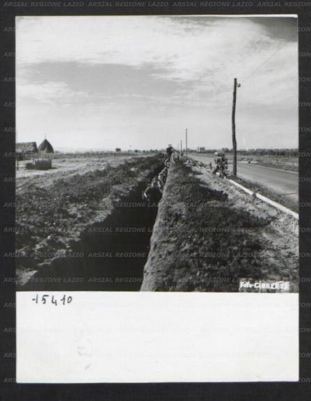ARSIAL/ARS00174B07.jpg