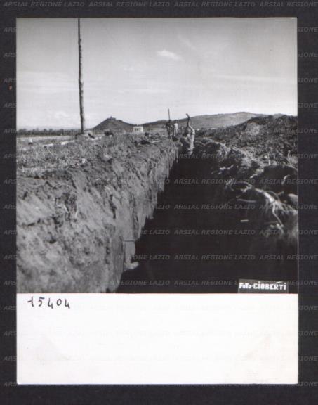 ARSIAL/ARS00174B08.jpg