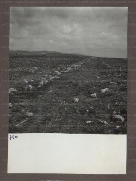 ARSIAL/ARS00174B18.jpg