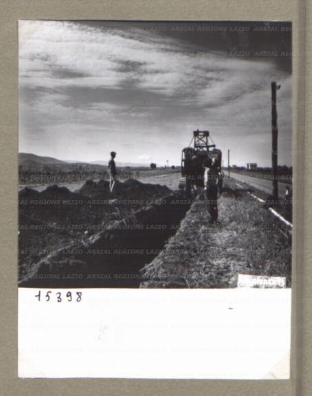 ARSIAL/ARS00174B1B.jpg