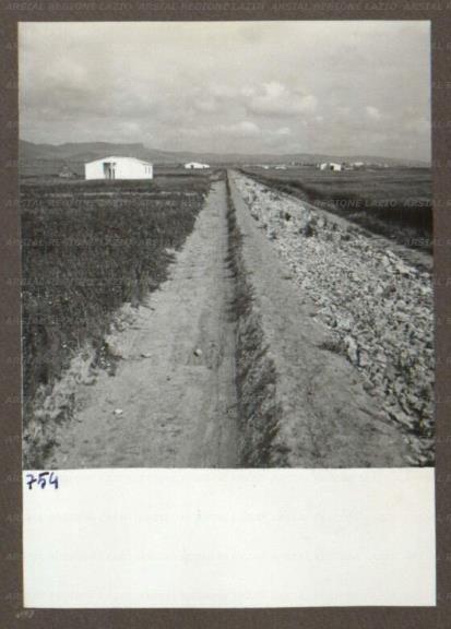 ARSIAL/ARS00174B1D.jpg