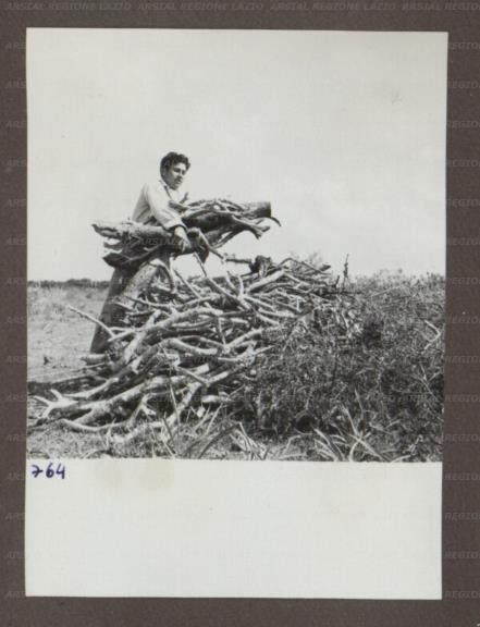 ARSIAL/ARS00174B21.jpg