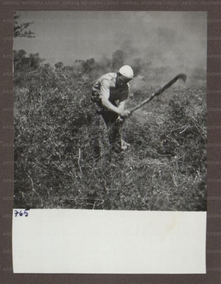 ARSIAL/ARS00174B23.jpg
