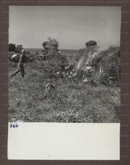 ARSIAL/ARS00174B25.jpg