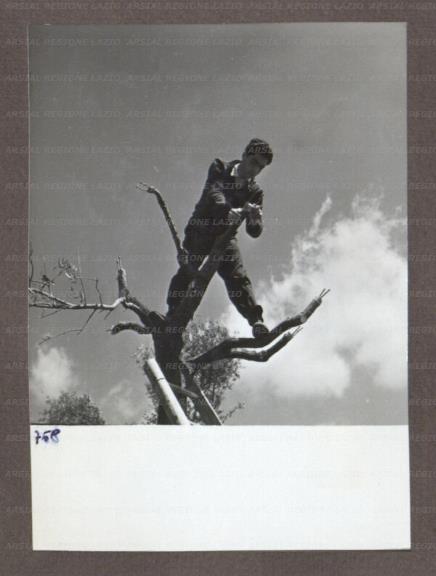 ARSIAL/ARS00174B2A.jpg