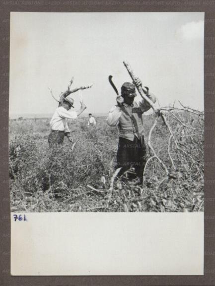 ARSIAL/ARS00174B35.jpg