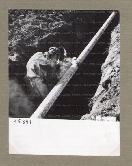 ARSIAL/ARS00174B42.jpg