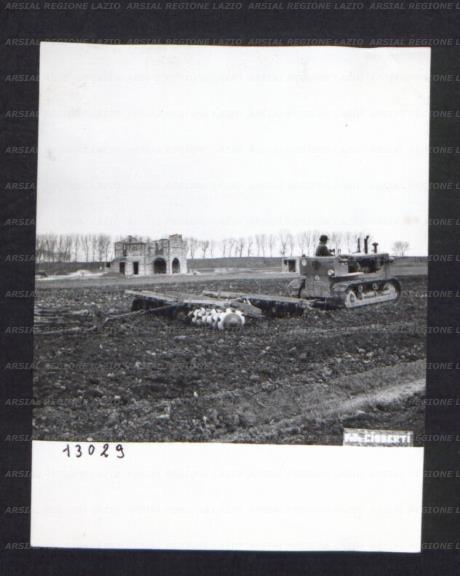 ARSIAL/ARS00174B46.jpg