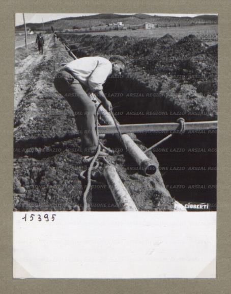 ARSIAL/ARS00174B4D.jpg