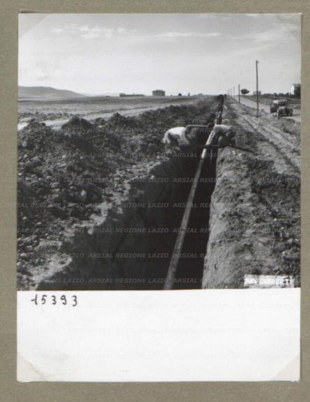 ARSIAL/ARS00174B50.jpg