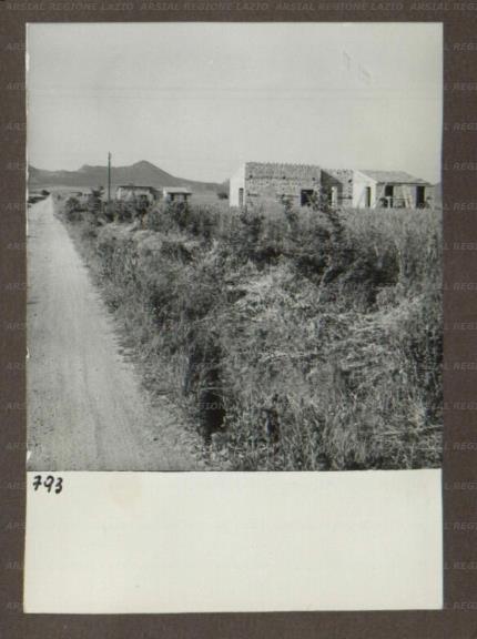 ARSIAL/ARS00174B5A.jpg