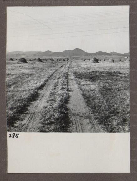 ARSIAL/ARS00174B63.jpg