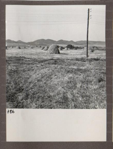ARSIAL/ARS00174B65.jpg