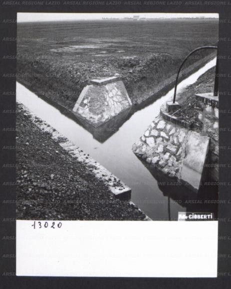 ARSIAL/ARS00174B6B.jpg