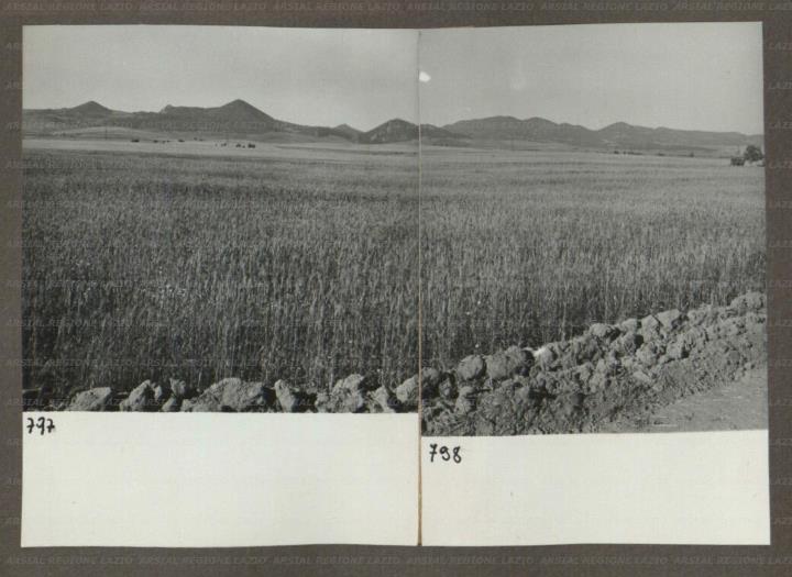 ARSIAL/ARS00174B6D.jpg