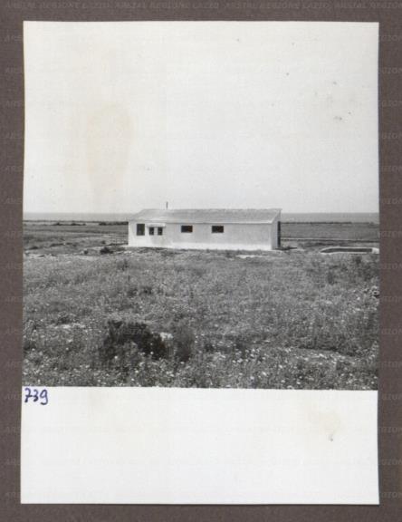 ARSIAL/ARS00174B6F.jpg