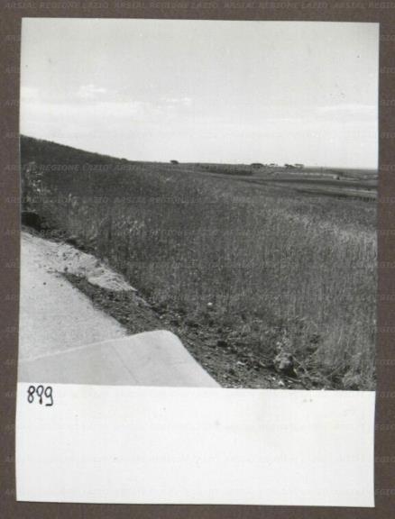 ARSIAL/ARS00174B76.jpg