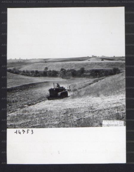 ARSIAL/ARS00174BAD.jpg
