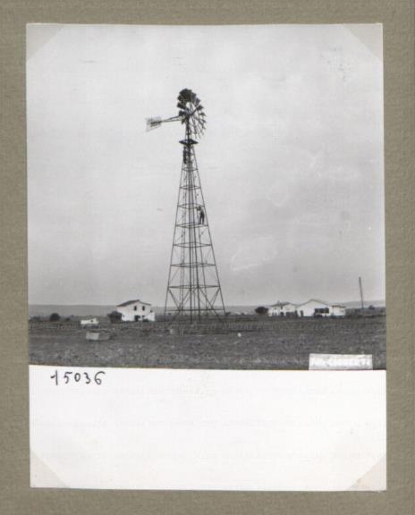 ARSIAL/ARS00174BB4.jpg