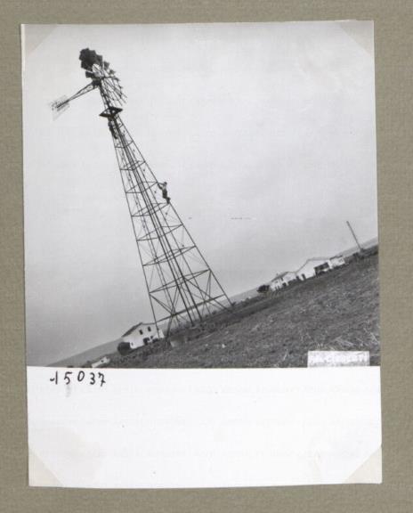 ARSIAL/ARS00174BB5.jpg