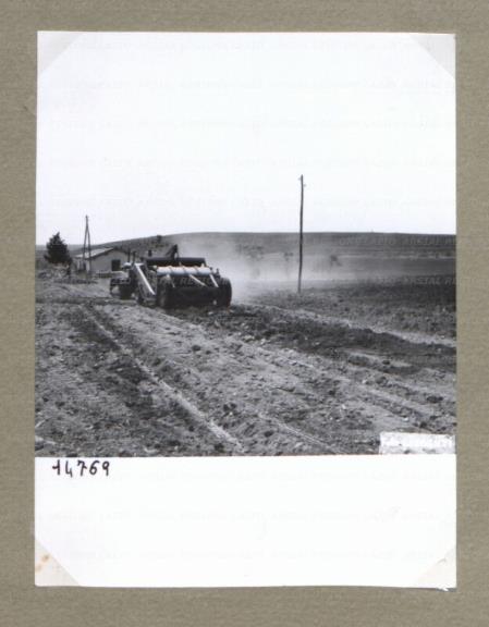 ARSIAL/ARS00174BC1.jpg