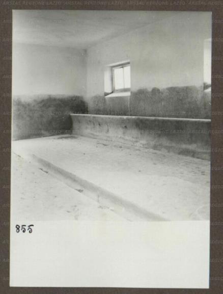 ARSIAL/ARS00174BC2.jpg