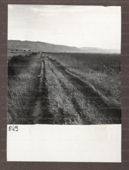 ARSIAL/ARS00174BCD.jpg
