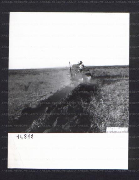 ARSIAL/ARS00174BD3.jpg