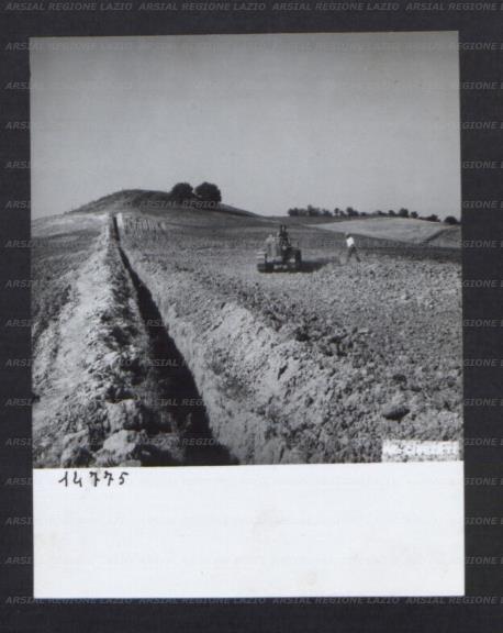 ARSIAL/ARS00174BD4.jpg